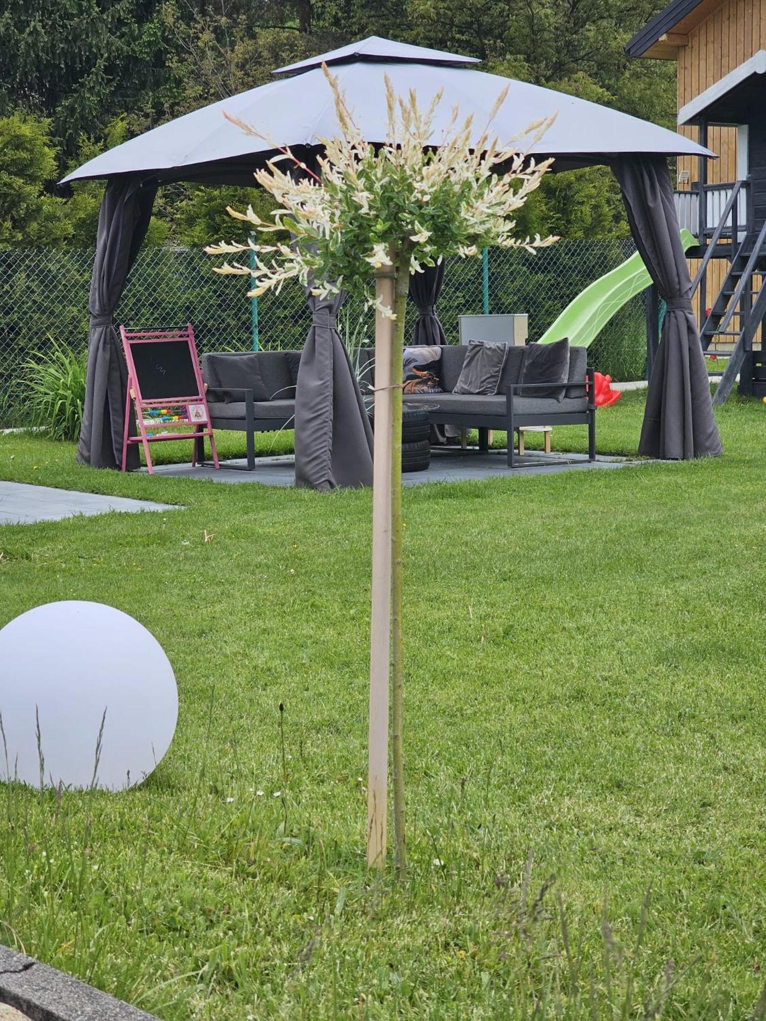 Komfort Z Jacuzzi Przy Parku Zdrojowym Chalet